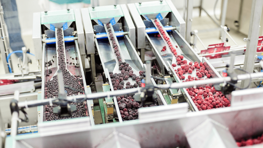 FOOD INSPECTION & SCREENING SOLUTIONS